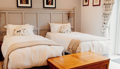 Habitación clásica con 1 cama doble o 2 individuales, accesible para personas con discapacidad