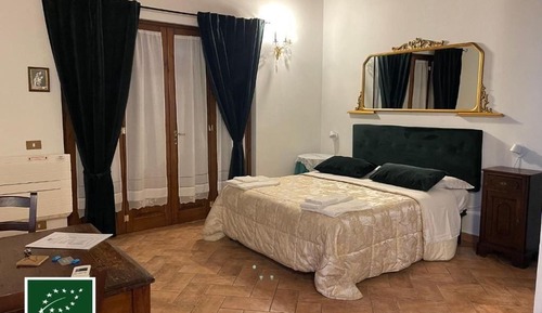 Habitación junior