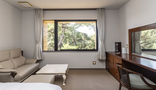 Habitación doble superior, no fumadores