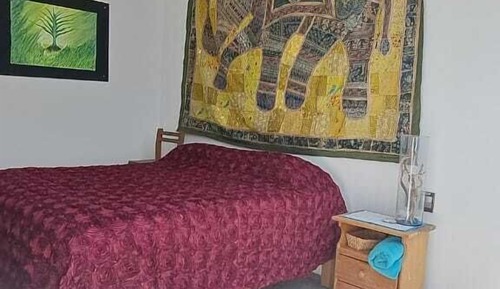 Habitación panorámica, vistas al jardín