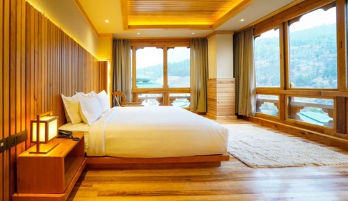 Suite estudio familiar