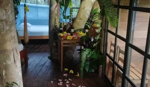 Casa en un árbol