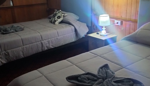Habitación estándar con 1 cama doble o 2 individuales, balcón, vistas al jardín