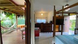 Premium Suite