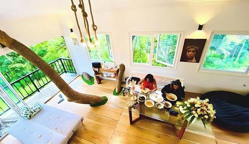Casa en un árbol estándar