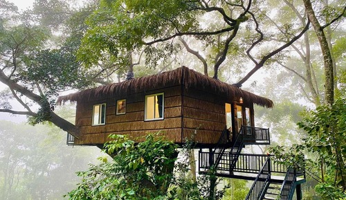 Casa en un árbol Premium