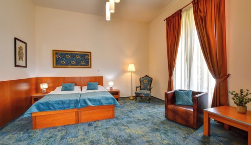 Habitación Deluxe con 1 cama doble o 2 individuales