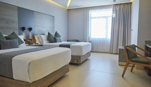 Habitación estándar, 2 camas dobles
