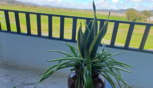 Habitación básica doble