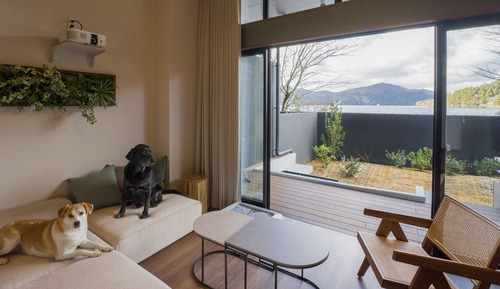 Habitación estándar, no fumadores (Loft included, Dog Friendly)