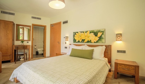 Habitación doble, terraza, vistas al jardín