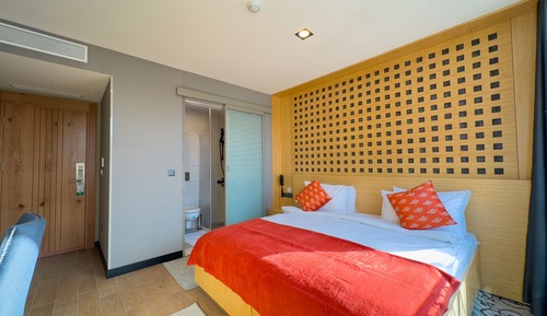 Habitación Deluxe con 1 cama doble o 2 individuales