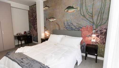 Habitación Confort