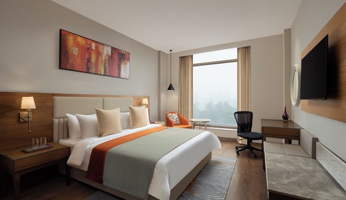Habitación Deluxe, 1 cama de matrimonio grande (Premium King)