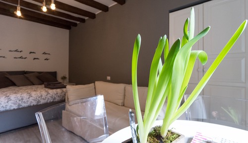 Apartamento Deluxe