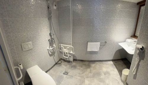 Habitación, 1 cama doble, accesible para personas con discapacidad