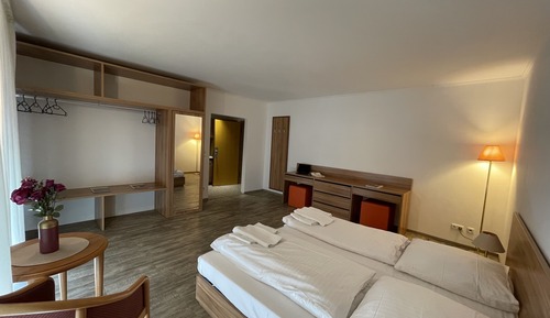 Habitación Confort con 1 cama doble o 2 individuales