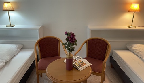 Habitación clásica con 2 camas individuales