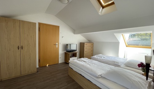 Habitación Grand con 1 cama doble o 2 individuales