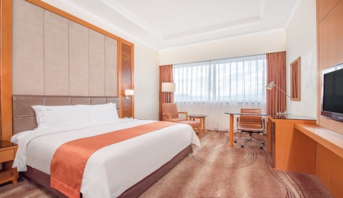 Habitación estándar, 1 cama de matrimonio grande