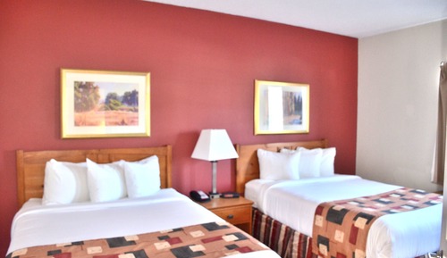 Suite, 2 habitaciones (King & 2 Queen Beds )