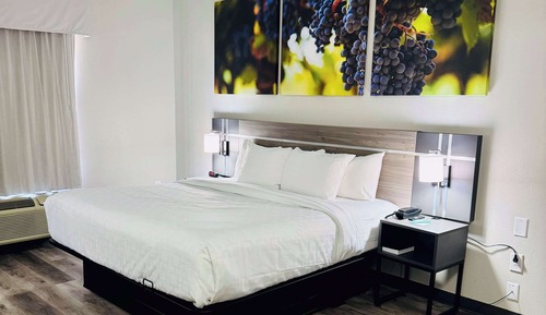 Habitación estándar, 1 cama de matrimonio grande, no fumadores