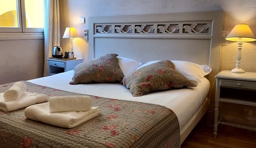 Habitación individual estándar, 1 cama doble
