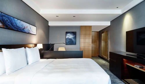 Habitación Premium, 1 cama de matrimonio grande