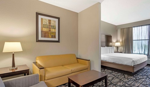 Suite, 1 cama de matrimonio grande, no fumadores, frigorífico y microondas