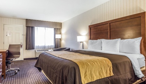 Habitación estándar, 1 cama de matrimonio grande