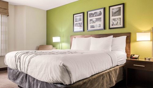 Habitación estándar, 1 cama de matrimonio grande