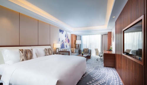 Habitación Premium, 1 cama de matrimonio grande