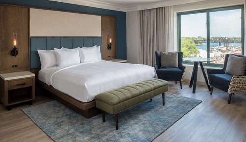Suite presidencial, 1 cama de matrimonio grande, vistas al río (2 Room Suite)