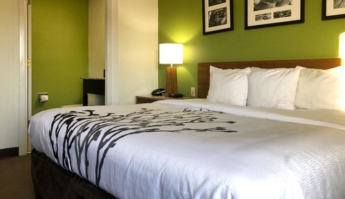 Habitación, 1 cama de matrimonio grande
