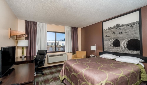 Suite estudio, 1 cama doble, no fumadores