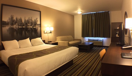 Habitación estándar, 1 cama de matrimonio grande