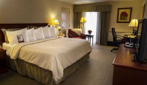 Habitación estándar, 1 cama de matrimonio grande