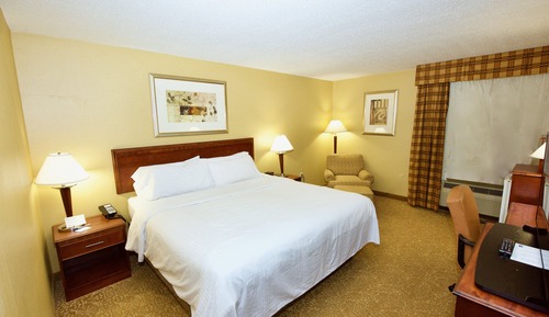 Suite, 1 cama de matrimonio grande