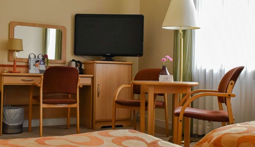 Habitación estándar, 2 camas individuales