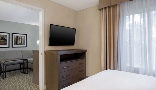 Suite, 1 cama de matrimonio grande (Homewood)