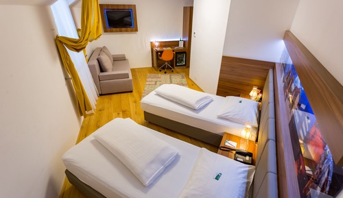 Habitación Business con 2 camas individuales