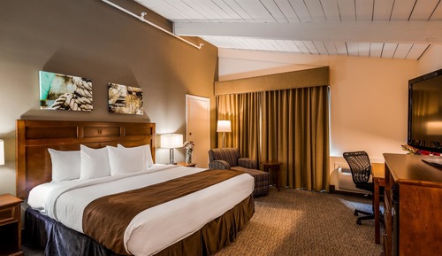 Habitación estándar, 1 cama de matrimonio grande, no fumadores, frigorífico