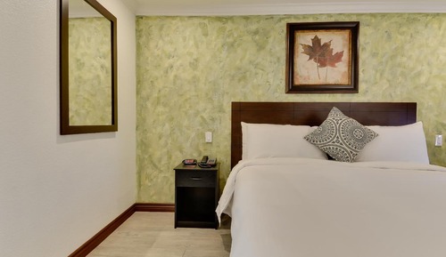 Habitación individual estándar, 1 cama de matrimonio grande, no fumadores
