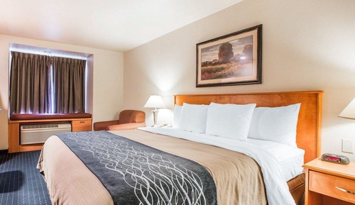 Habitación estándar, 1 cama de matrimonio grande, no fumadores