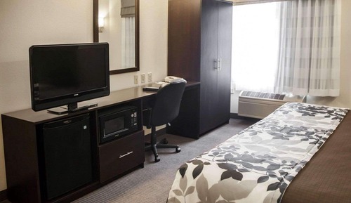 Suite, 1 cama de matrimonio grande con sofá cama, accesible para personas con discapacidad