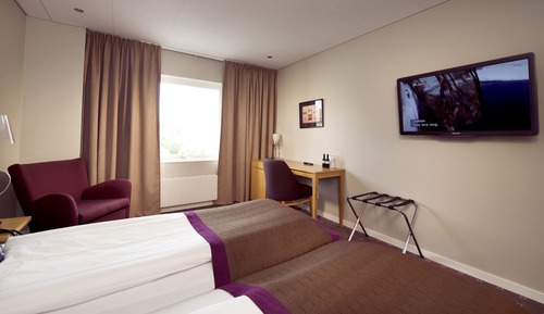 Habitación estándar, 1 cama doble