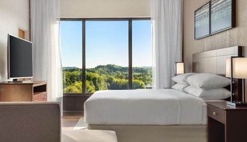 Habitación, 1 cama de matrimonio grande con sofá cama