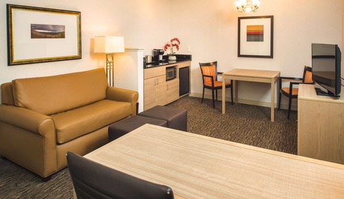 Suite estudio junior, 1 cama de matrimonio grande con sofá cama