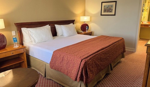 Suite, 1 cama de matrimonio grande