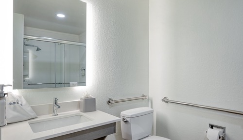 Habitación estándar, 1 cama de matrimonio grande (Roll-In Shower)